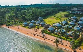 เดอะ หมาก ตราด